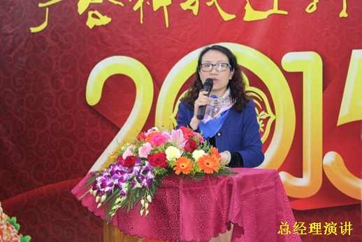 2015年银娱CEG优越会科技迎春晚宴